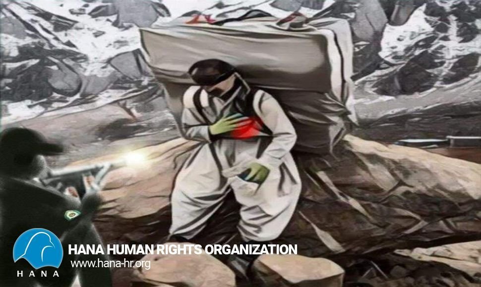 Nosud: A Kolber is injured following military fire