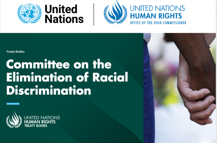 UN Committee on the Elimination of Racial Discrimination publishes findings on Iran, Iraq and some other countries