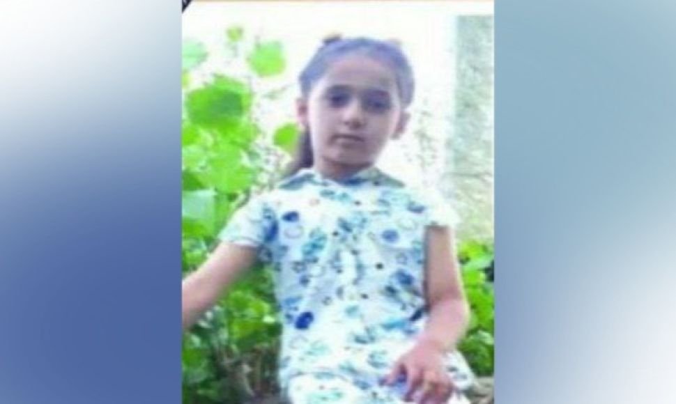 Stray dogs killed a 7yearold child