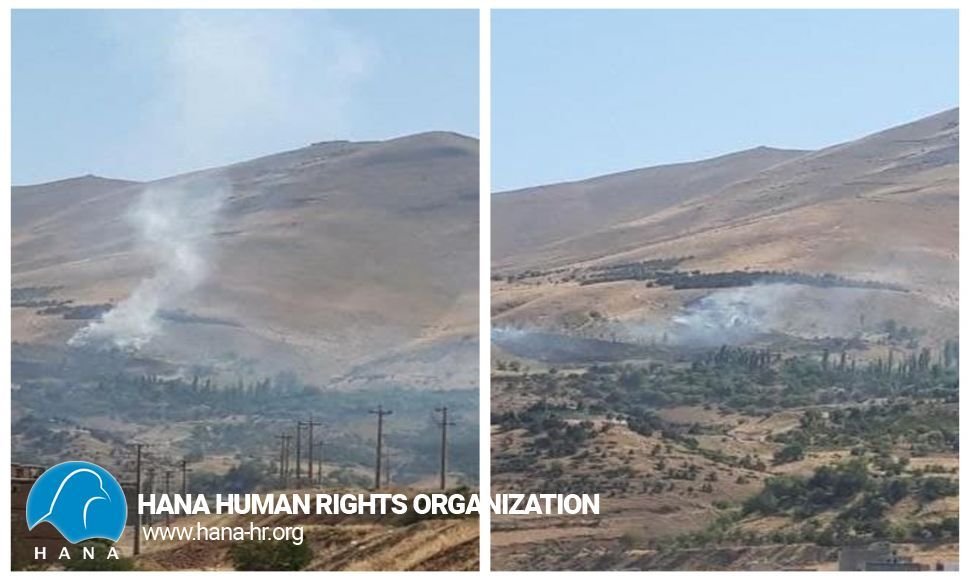 Sanandaj / One person injured and a number of trees destroyed in Abidar fire
